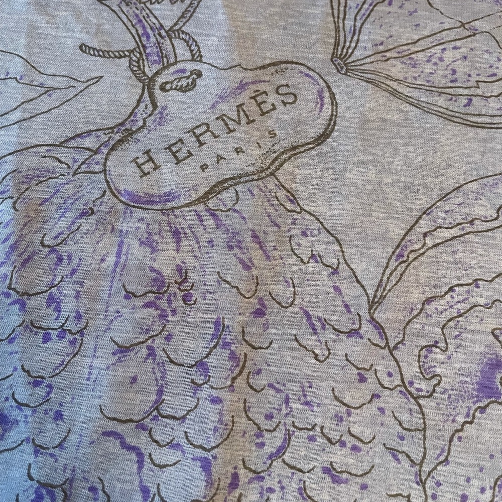 Hermes silk scarf